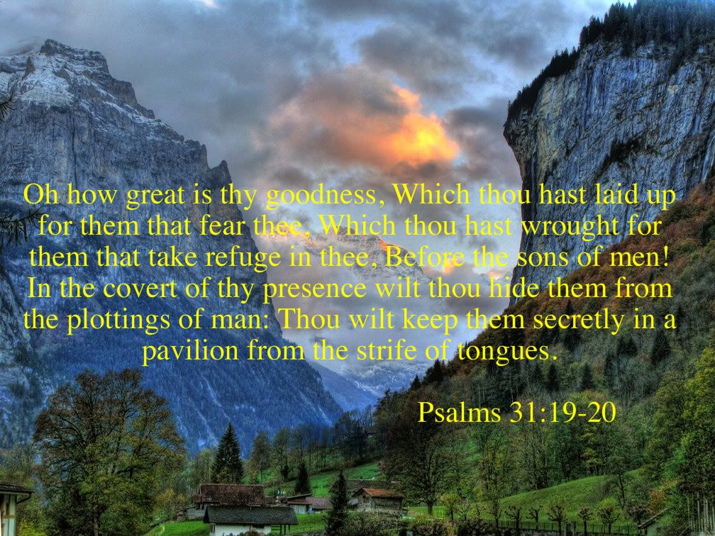 Psalm 31 19 20 Photo By Susanm056 Photobucket